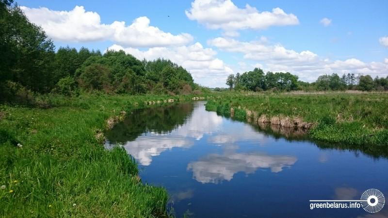 Павел Казачёнок. Номинация «Прекрасная». Река Волма в районе д. Красевичи.