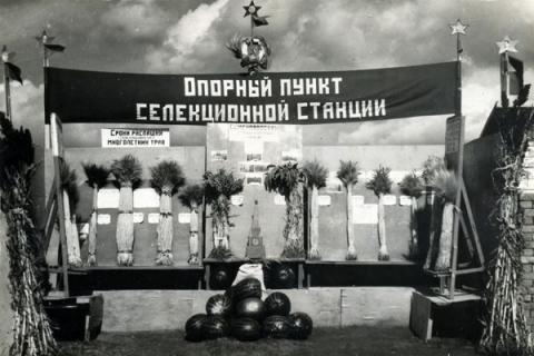 Агробиология против экологии. Как "лысенковщина" погубила первый советский экологический эксперимент