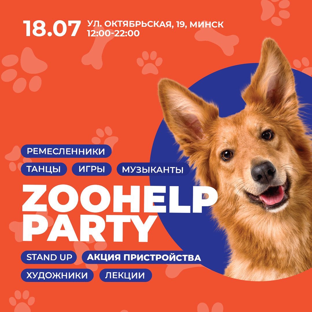 Благотворительный Фестиваль Помощи Бездомным Животным Zoohelp Party |  greenbelarus.info